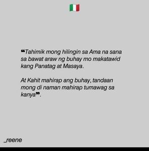 Meet your Posher, Joey